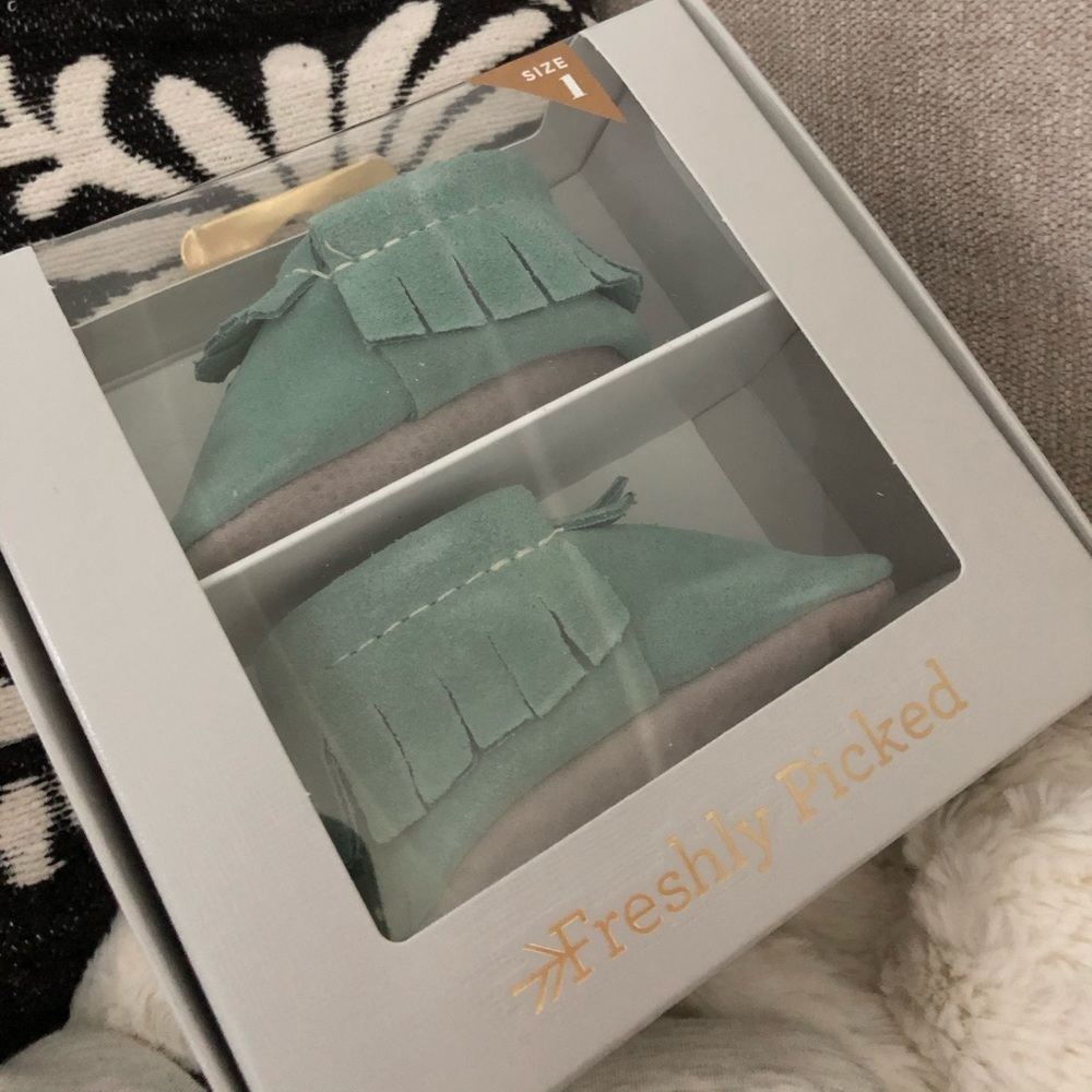 Freshly picked moccasins suede succulent